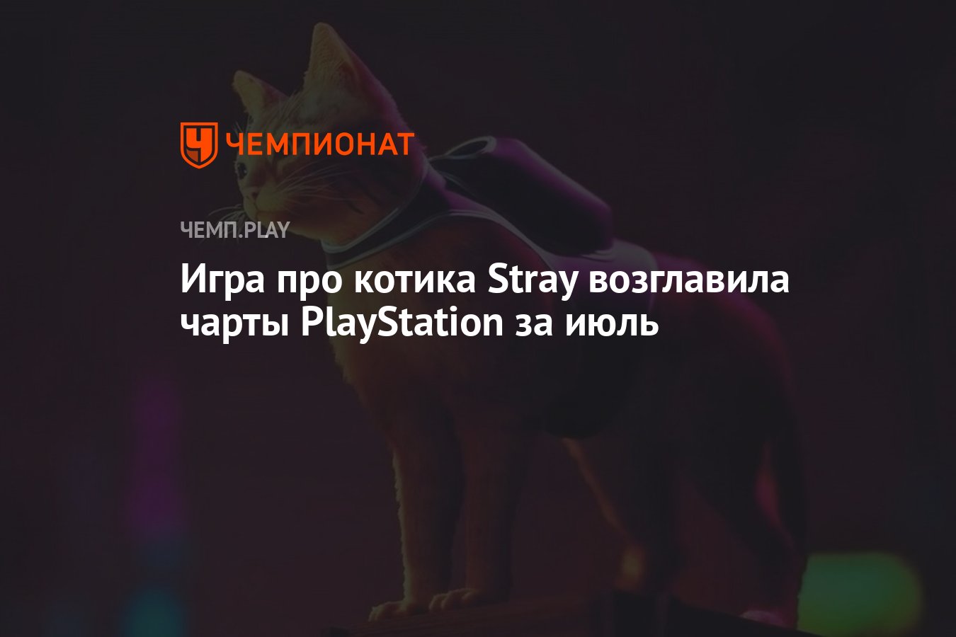 Игра про котика Stray возглавила чарты PlayStation за июль - Чемпионат