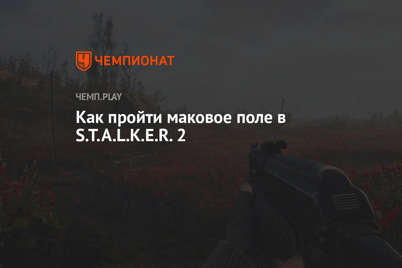 Сталкер 2 как пройти маковое поле. Сталкер 2 как пройти маковое поле
