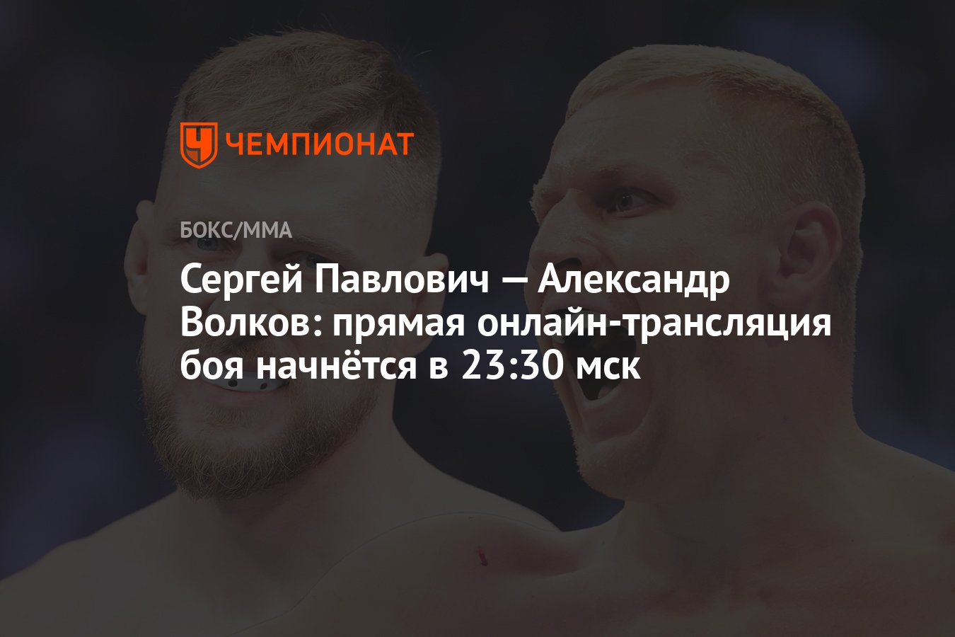 Сергей Павлович — Александр Волков: прямая онлайн-трансляция боя начнётся в  23:30 мск - Чемпионат