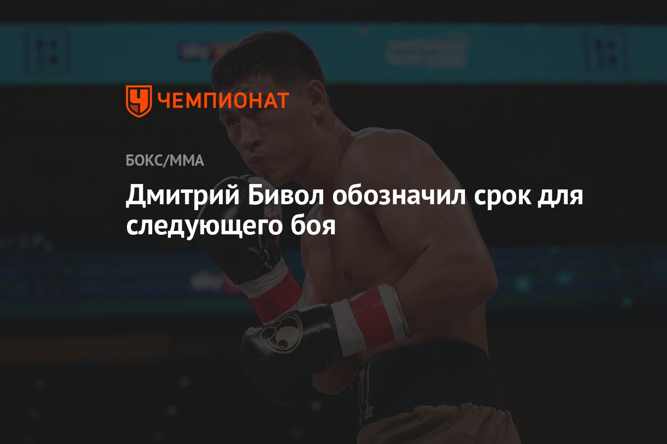 Дмитрий Бивол обозначил срок для следующего боя - Чемпионат