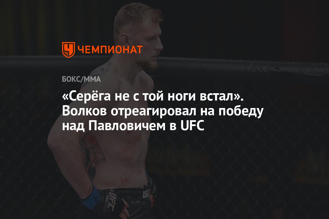 Серёга не с той ноги встал». Волков отреагировал на победу над Павловичем в  UFC - Чемпионат