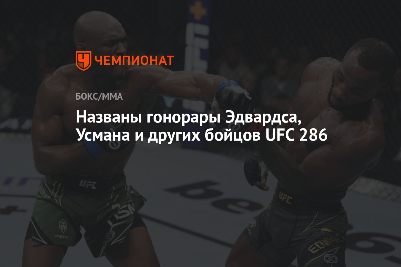 Гонорары бойцов ufc 300. Бойцы юфс. Юфс 300. UFC 301 гонорары бойцов.