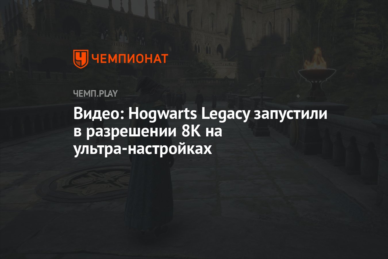 Hogwarts legacy вылетает при запуске на экране эпилепсии фото 26