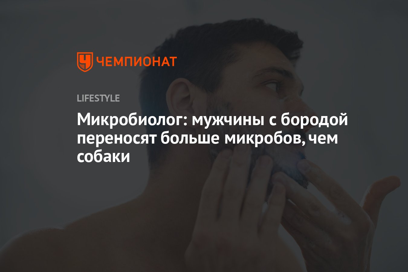 Борода как микрокосм: новое исследование показало, что в бороде мужчин живет больше микробов, чем на собаках!
