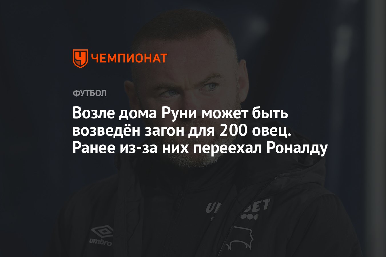 Возле дома Руни может быть возведён загон для 200 овец. Ранее из-за них  переехал Роналду - Чемпионат