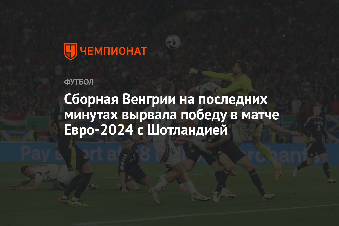 Шотландия – Венгрия: результат матча 23 июня 2024, счет 0:1, Евро-2024 -  Чемпионат