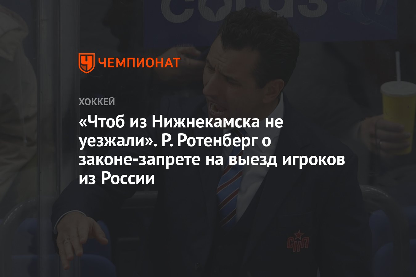 Чтоб из Нижнекамска не уезжали». Р. Ротенберг о законе-запрете на выезд  игроков из России - Чемпионат