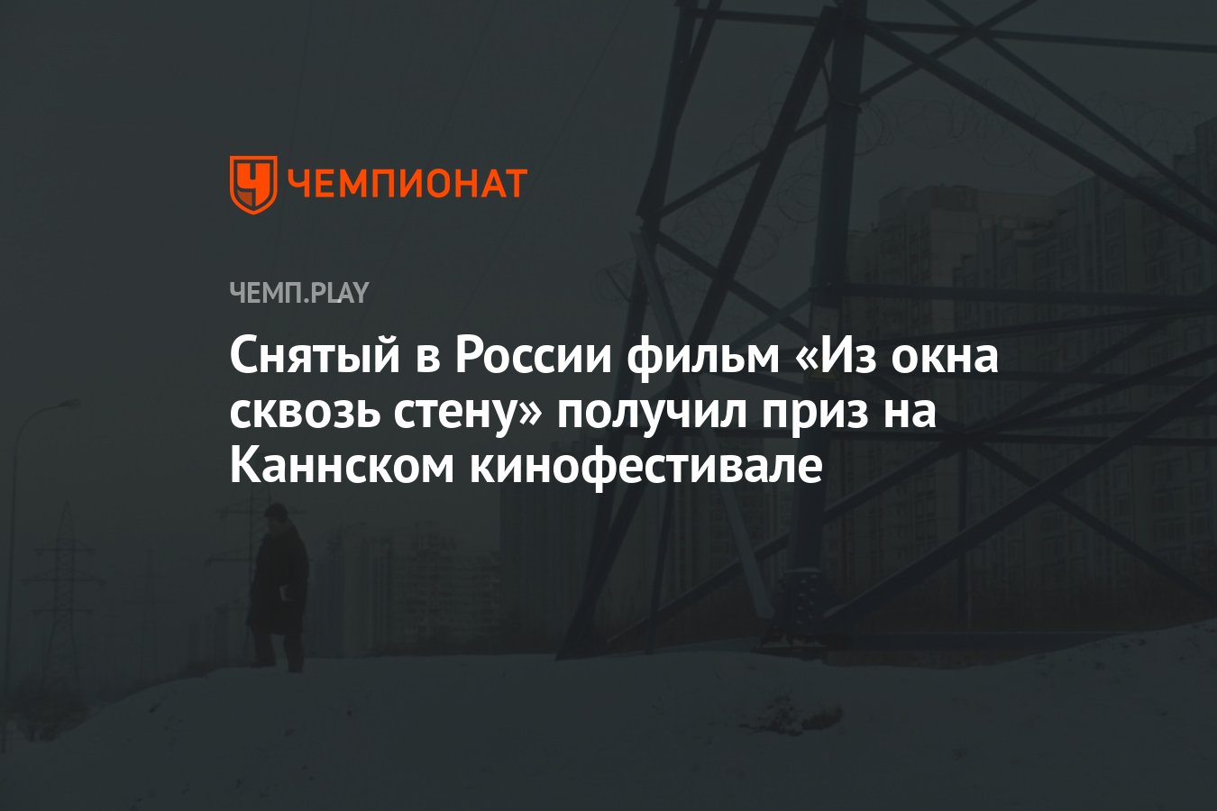 Снятый в России фильм «Из окна сквозь стену» получил приз на Каннском  кинофестивале - Чемпионат