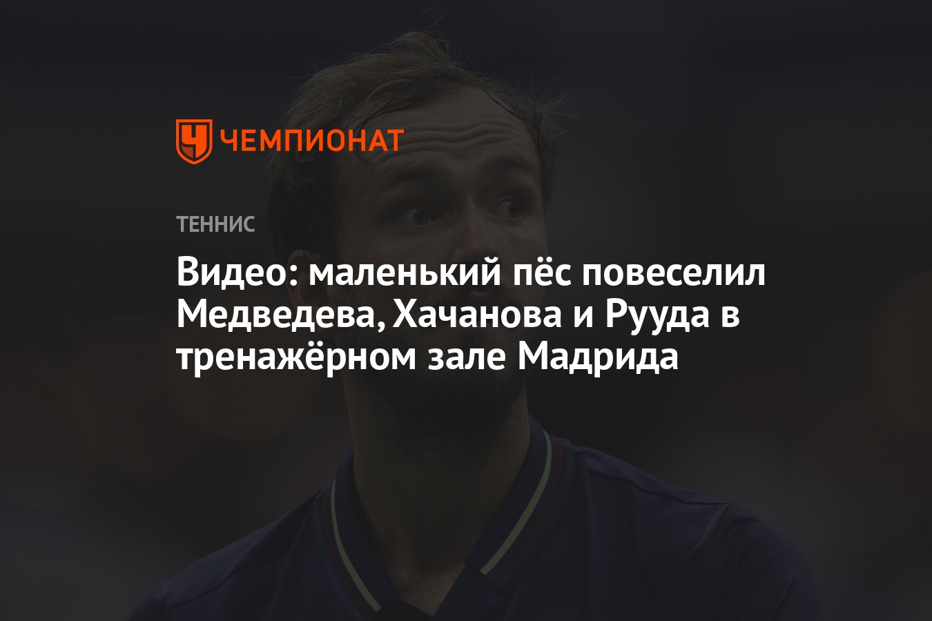 Видео: маленький пёс повеселил Медведева, Хачанова и Рууда в тренажёрном  зале Мадрида - Чемпионат