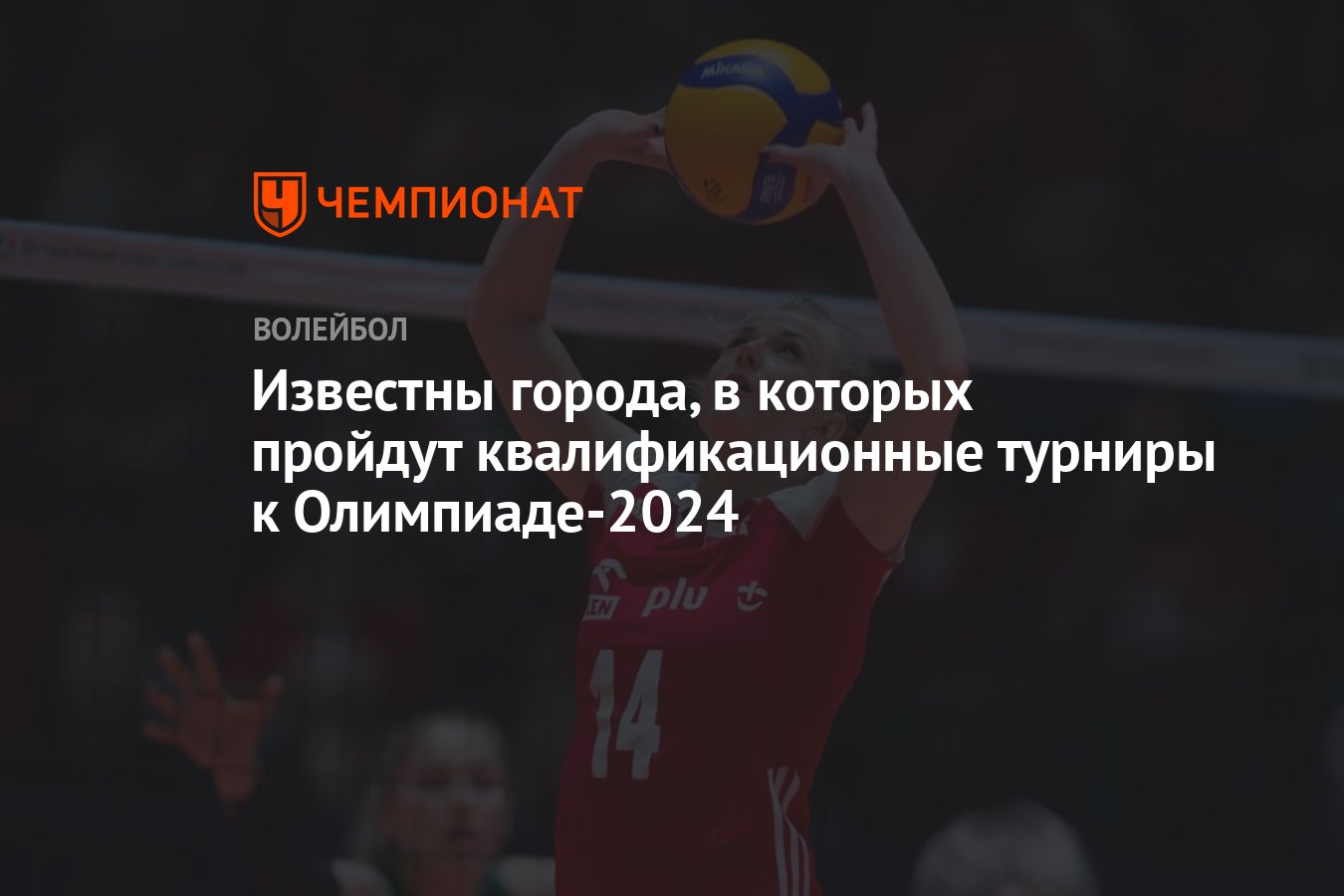 Известны города, в которых пройдут квалификационные турниры к Олимпиаде-2024  - Чемпионат