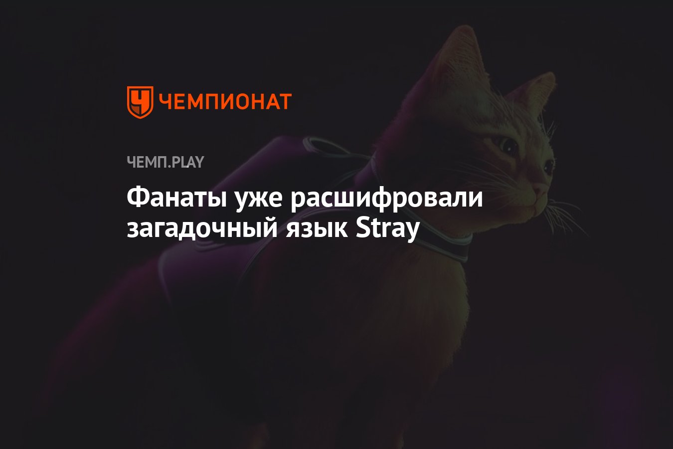 Фанаты уже расшифровали загадочный язык Stray - Чемпионат