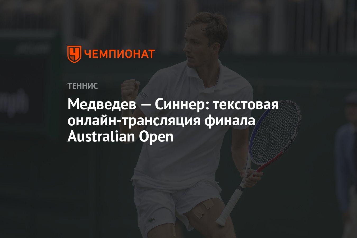 Медведев — Синнер: текстовая онлайн-трансляция финала Australian Open -  Чемпионат