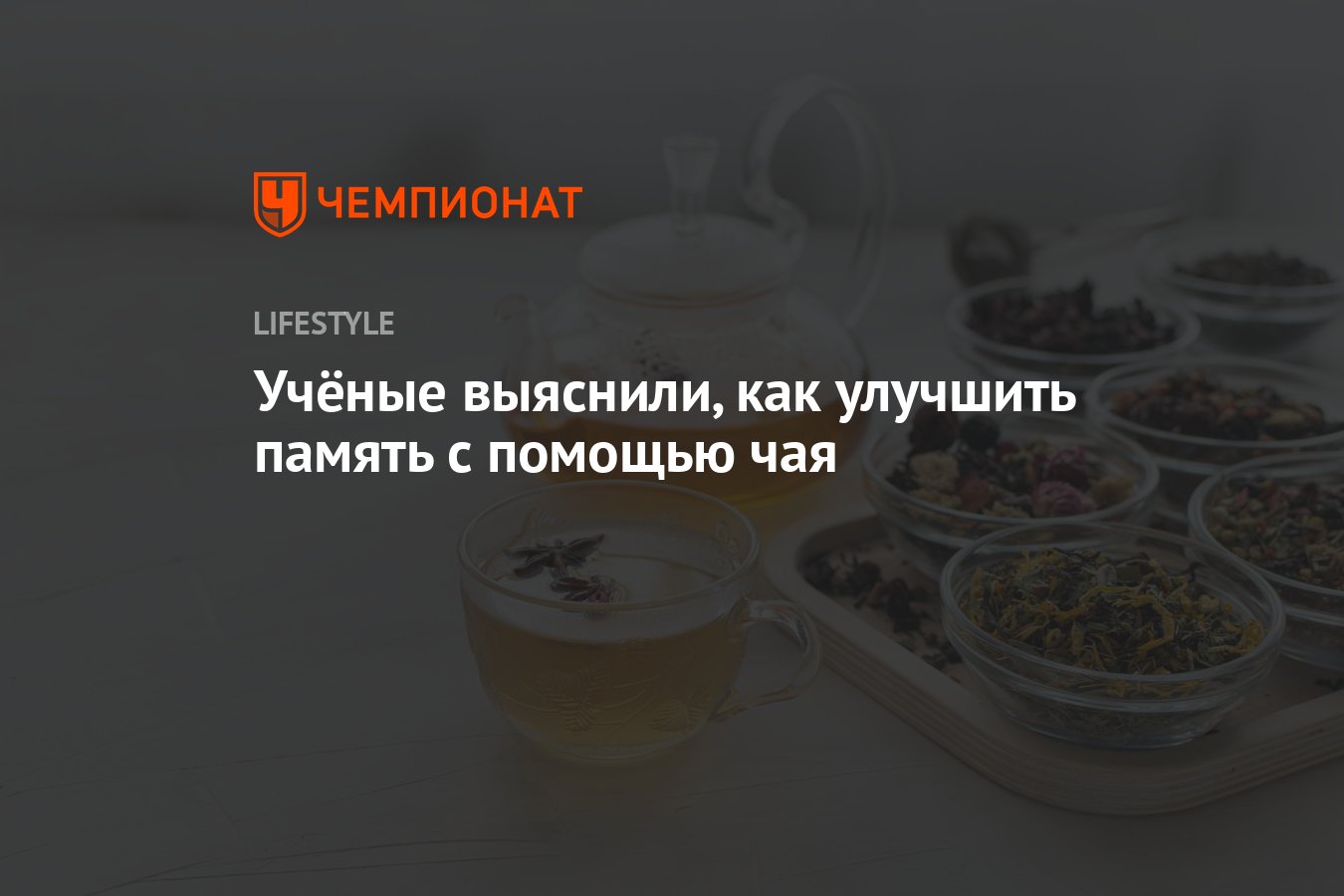 Учёные выяснили, как улучшить память с помощью чая - Чемпионат