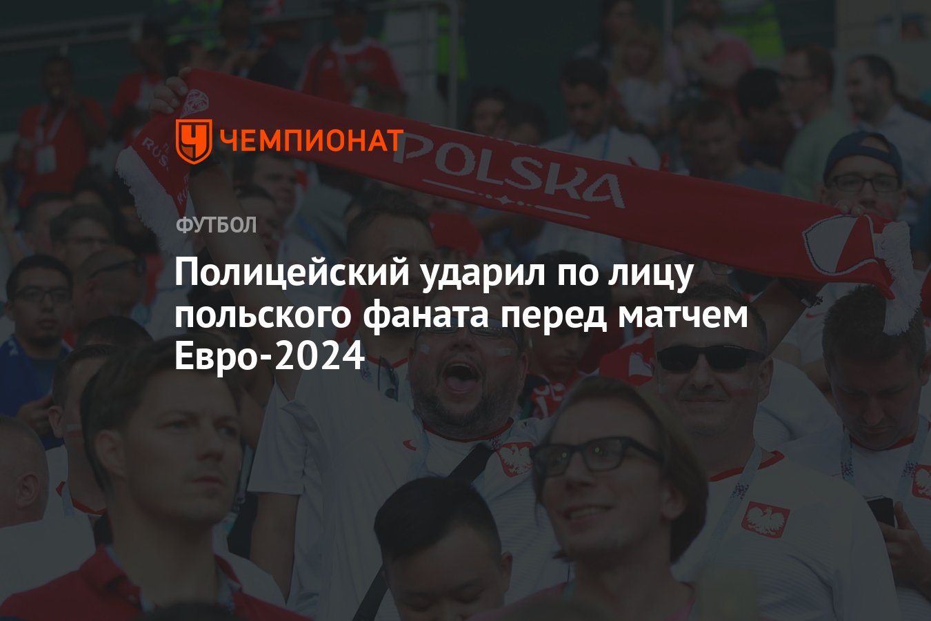 Полицейский ударил по лицу польского фаната перед матчем Евро-2024