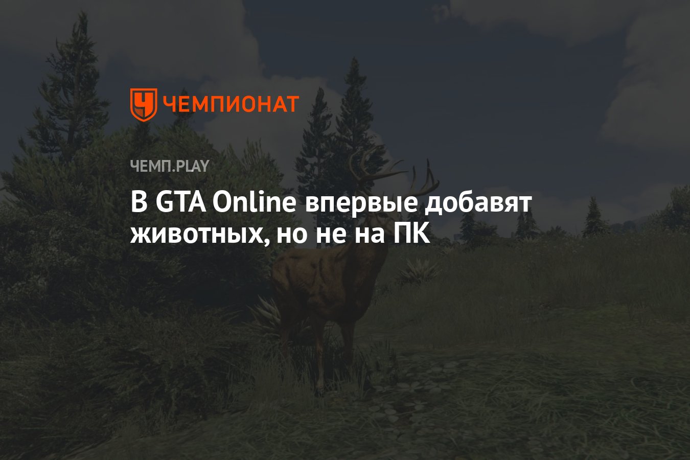 В GTA Online впервые добавят животных, но не на ПК - Чемпионат