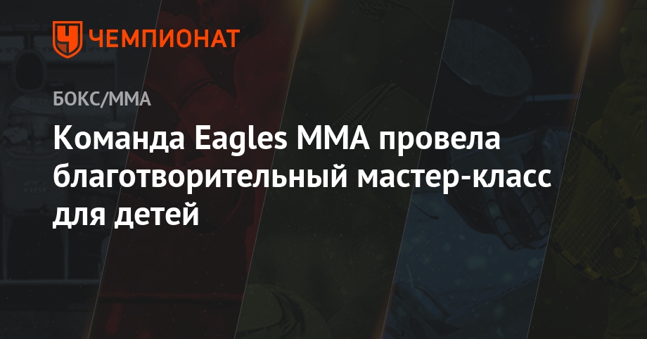 Знаменитый боец MMA проведет мастер-класс в Армении