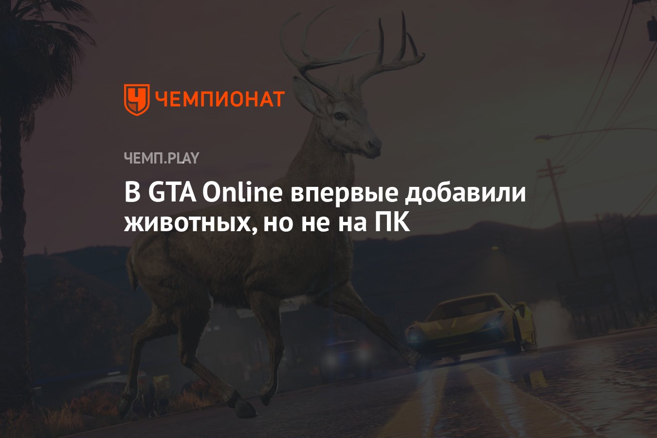 В GTA Online впервые добавили животных, но не на ПК - Чемпионат