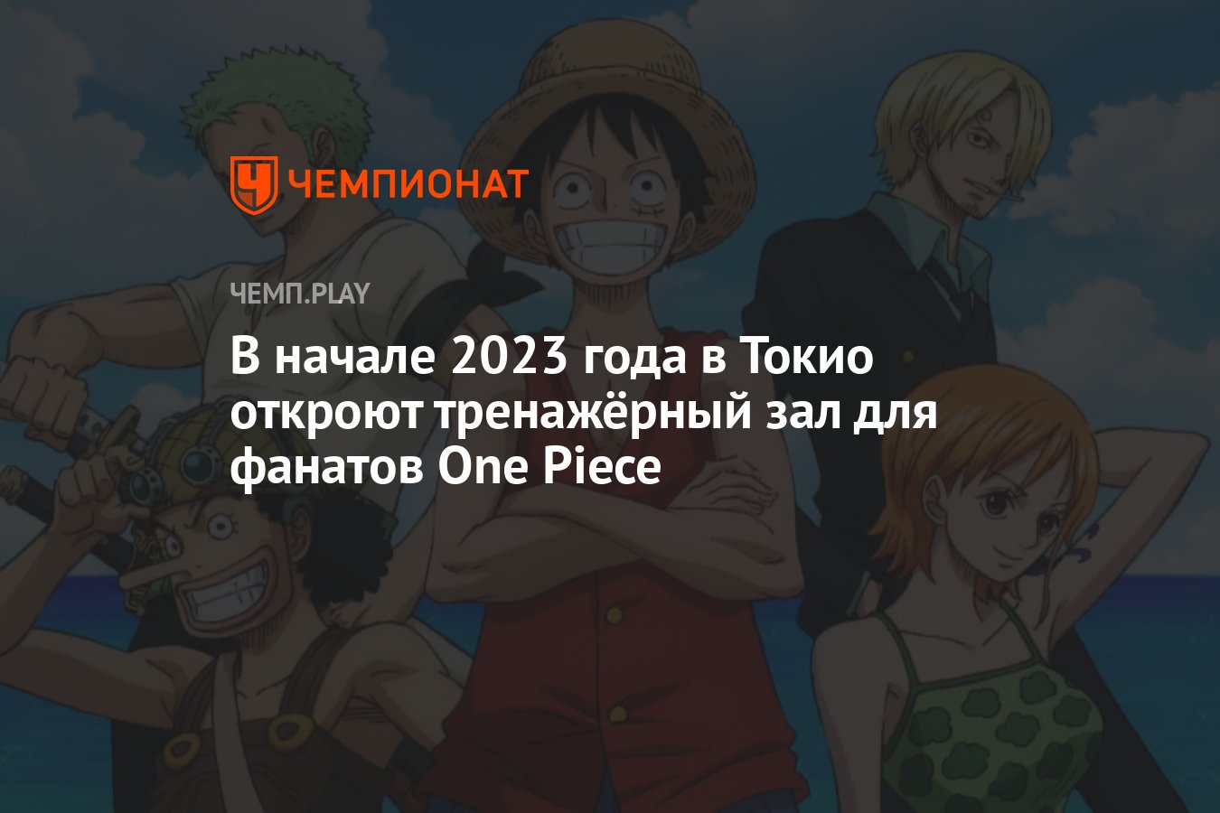 В начале 2023 года в Токио откроют тренажёрный зал для фанатов One Piece -  Чемпионат