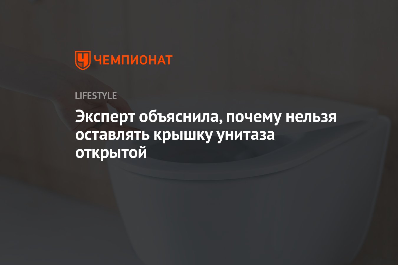 Многие повторяют эту ошибку: почему крышку унитаза нельзя держать открытой