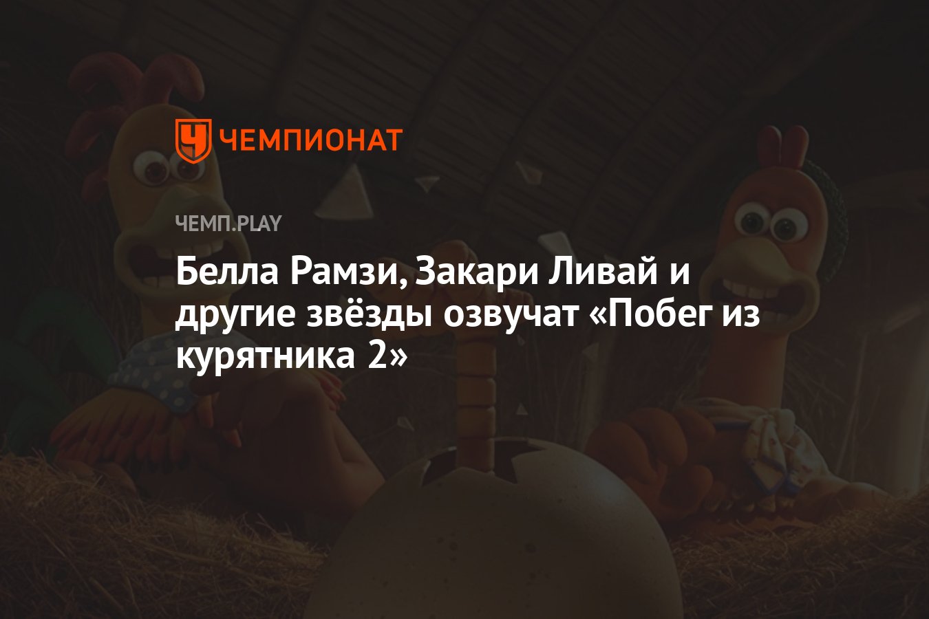 Мадам из курятника дзен