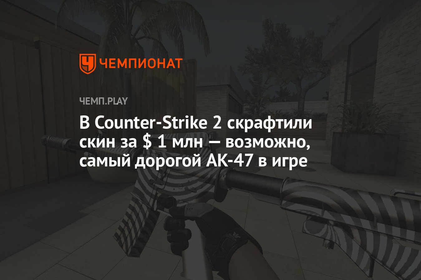 В Counter-Strike 2 скрафтили скин за $ 1 млн — возможно, самый дорогой  AK-47 в игре - Чемпионат