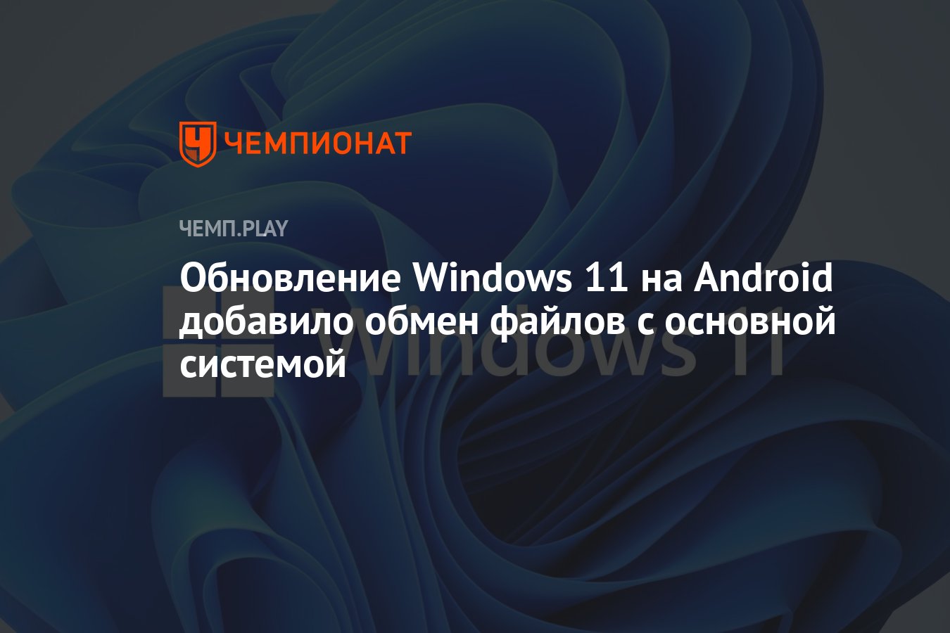 Обновление Windows 11 на Android добавило обмен файлов с основной системой  - Чемпионат