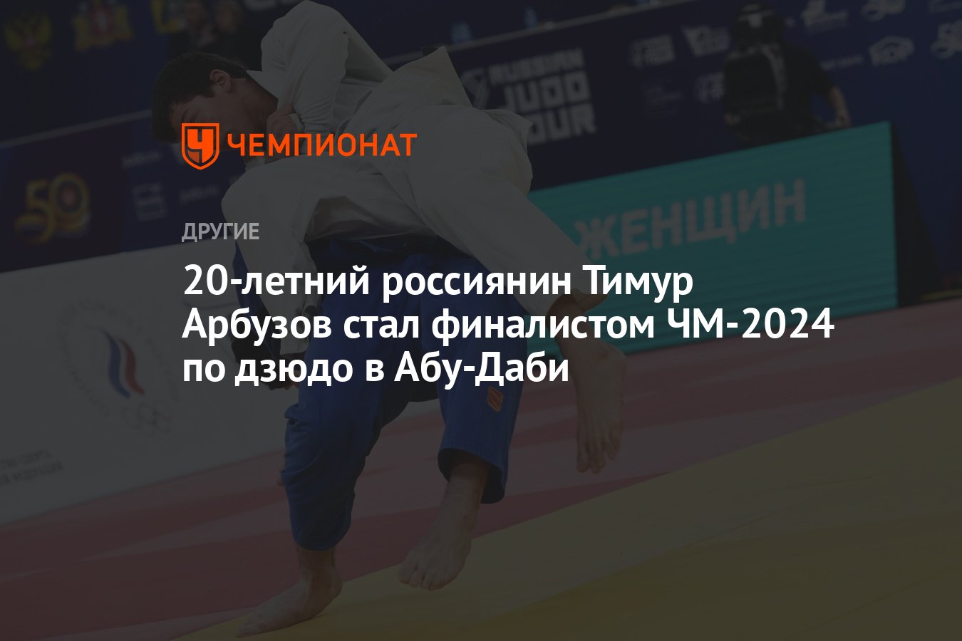 Дзюдо чемпионат европы 2024