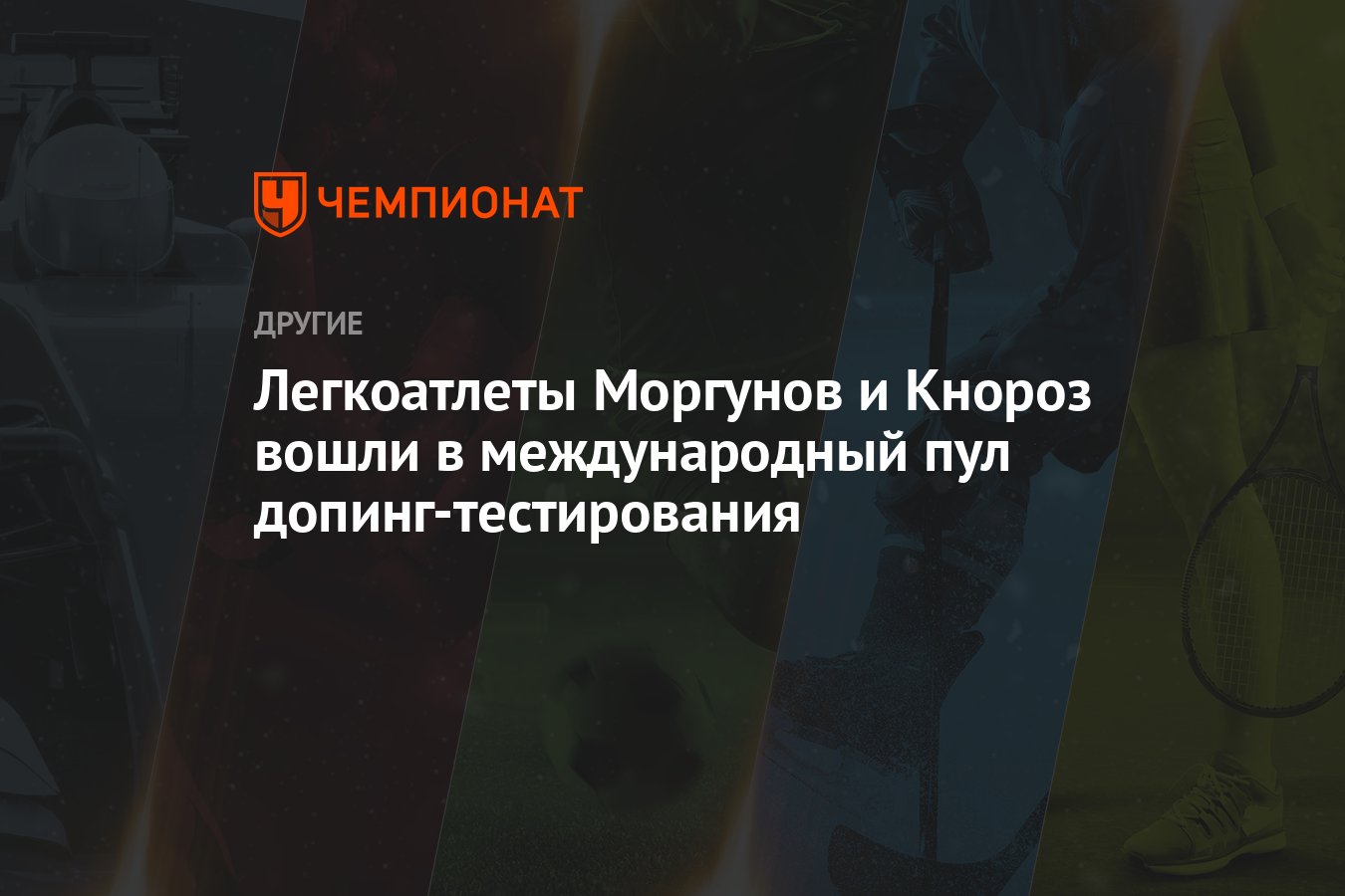 Антидопинговый тест 2024. Пулы тестирования на допинг. Международный пул допинг-тестирования картинки. Что такое Международный пул по допинг тестированию.