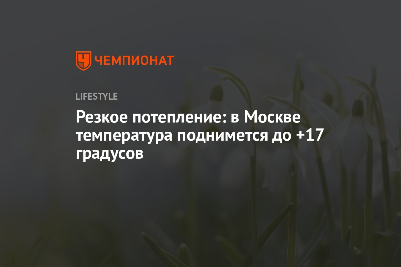 Резкое потепление: в Москве температура поднимется до +17 градусов -  Чемпионат