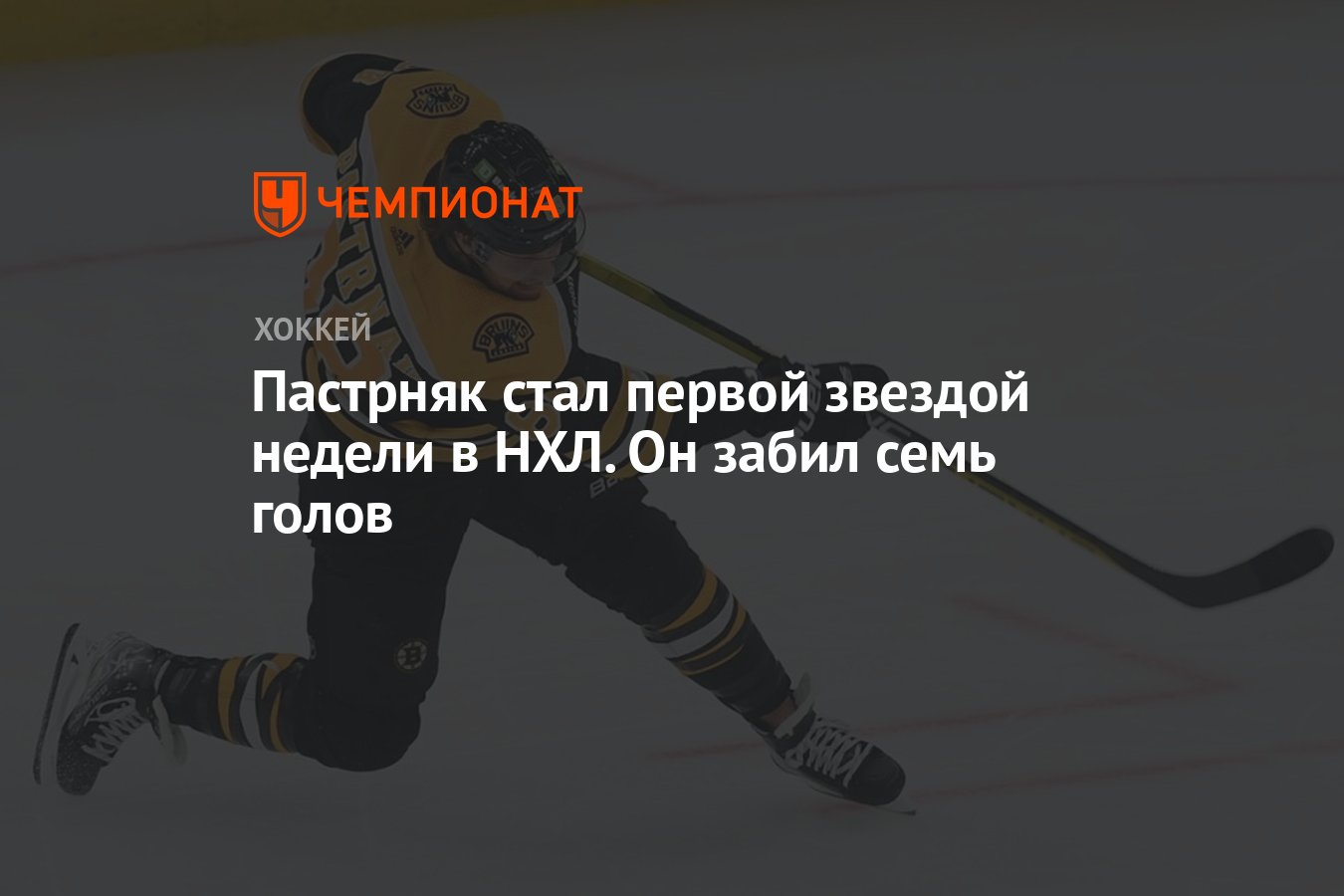 Забивала 7 букв