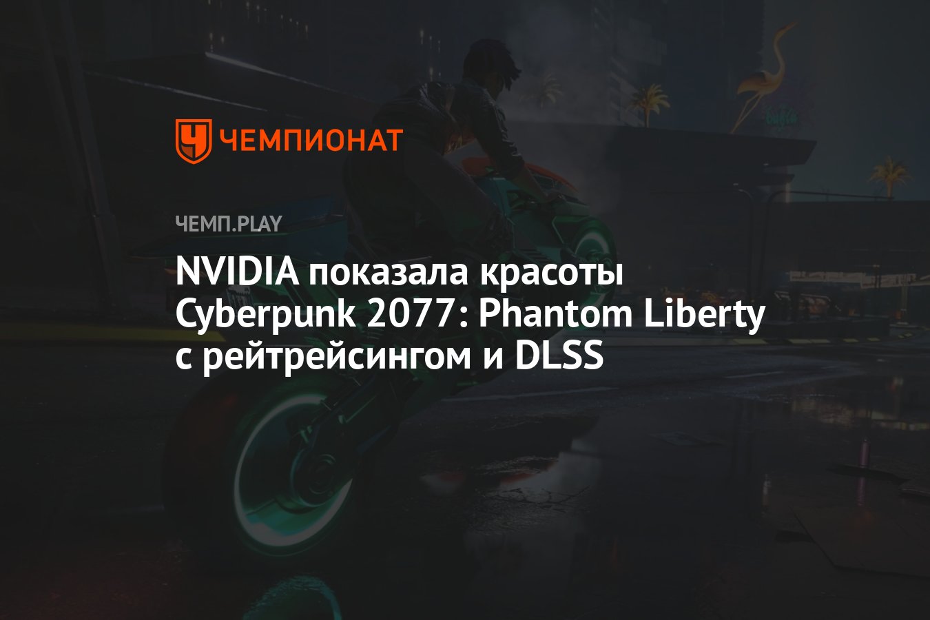 Cyberpunk красота не умирает баг фото 45