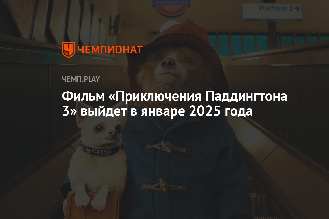 Фильм «Приключения Паддингтона 3» выйдет в январе 2025 года - Чемпионат