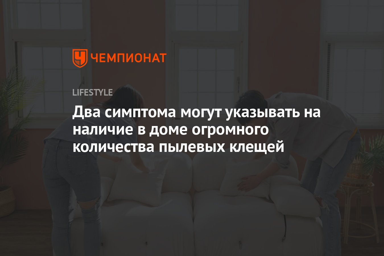 Два симптома могут указывать на наличие в доме огромного количества пылевых  клещей - Чемпионат