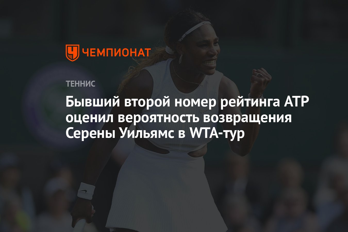 Бывший второй номер рейтинга ATP оценил вероятность возвращения Серены  Уильямс в WTA-тур - Чемпионат