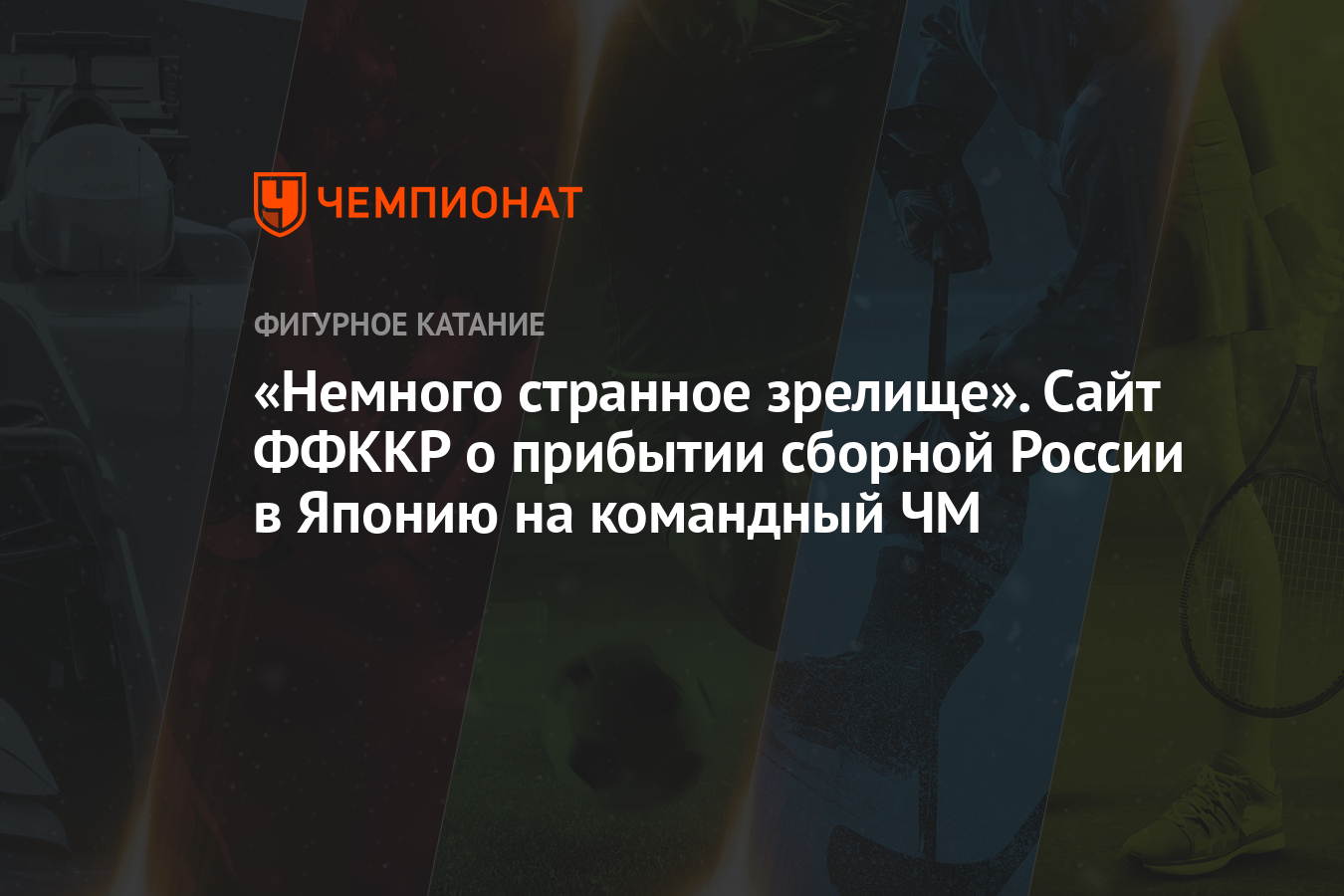 Однажды автор статьи увидел странное зрелище. Однажды автор статьи увидел странное зрелище