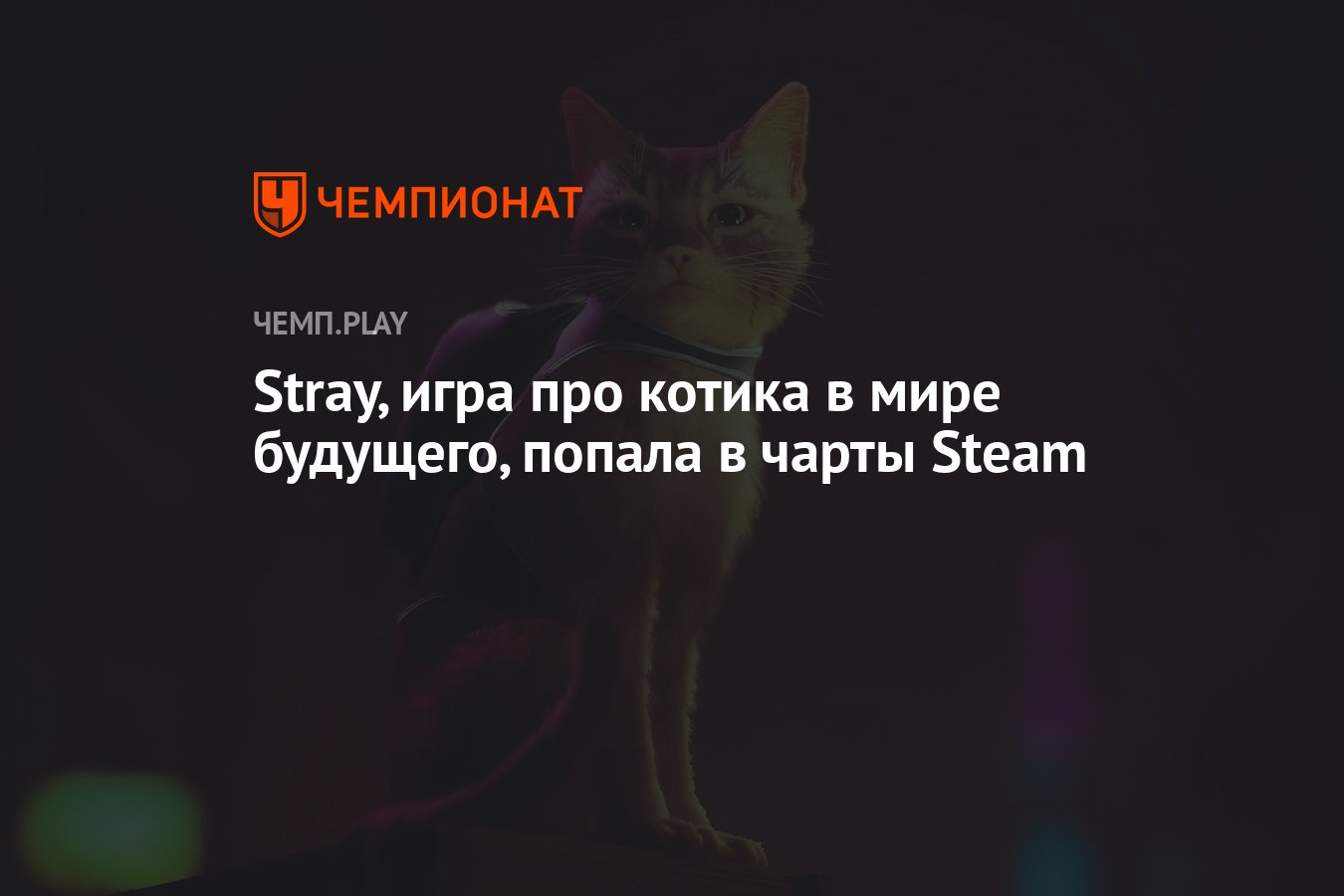 Stray, игра про котика в мире будущего, попала в чарты Steam - Чемпионат