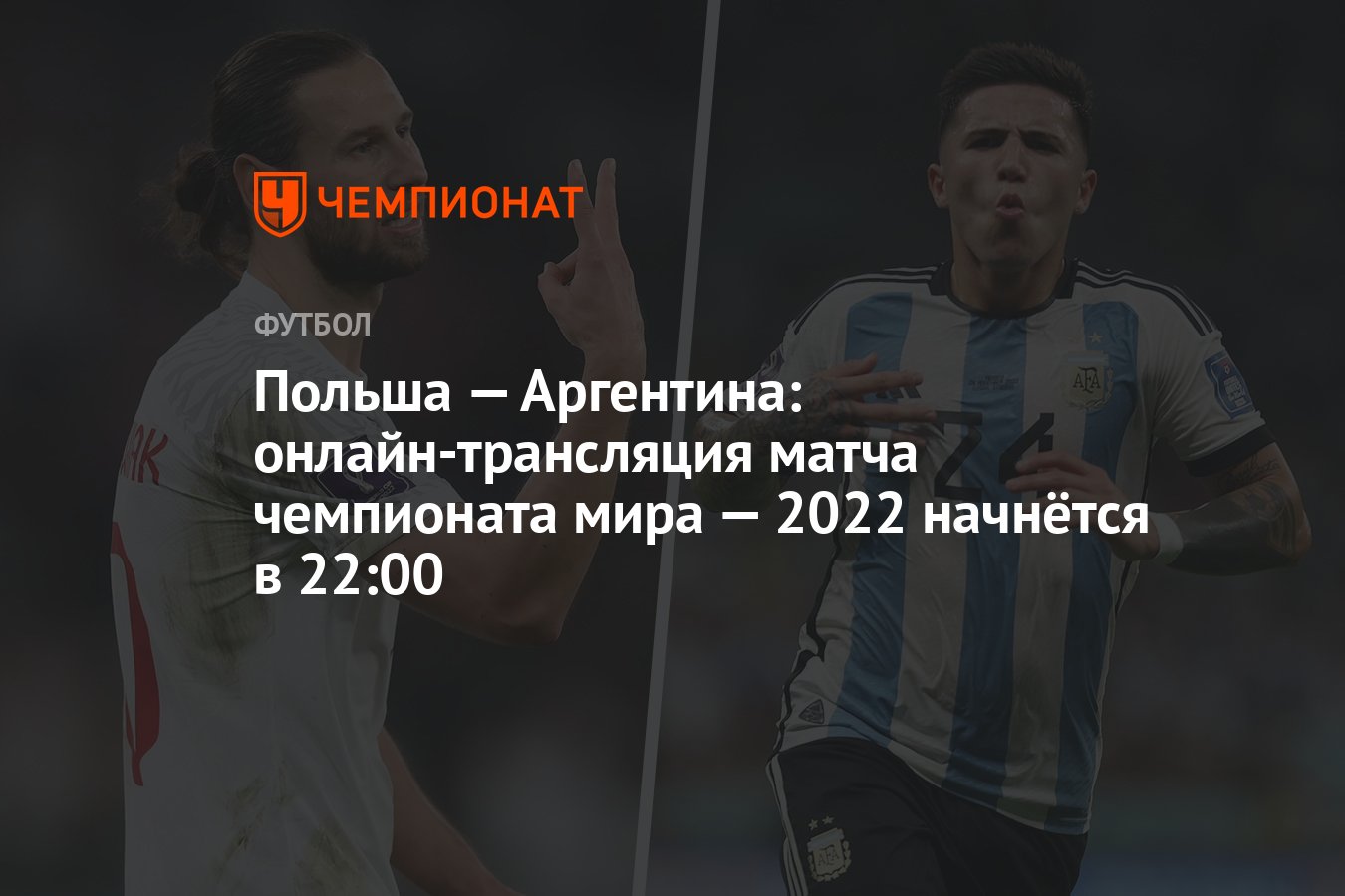 Польша — Аргентина: онлайн-трансляция матча чемпионата мира — 2022 начнётся  в 22:00 - Чемпионат