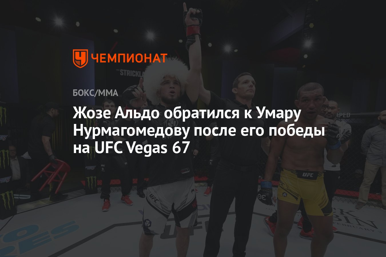 Жозе Альдо обратился к Умару Нурмагомедову после его победы на UFC Vegas 67  - Чемпионат