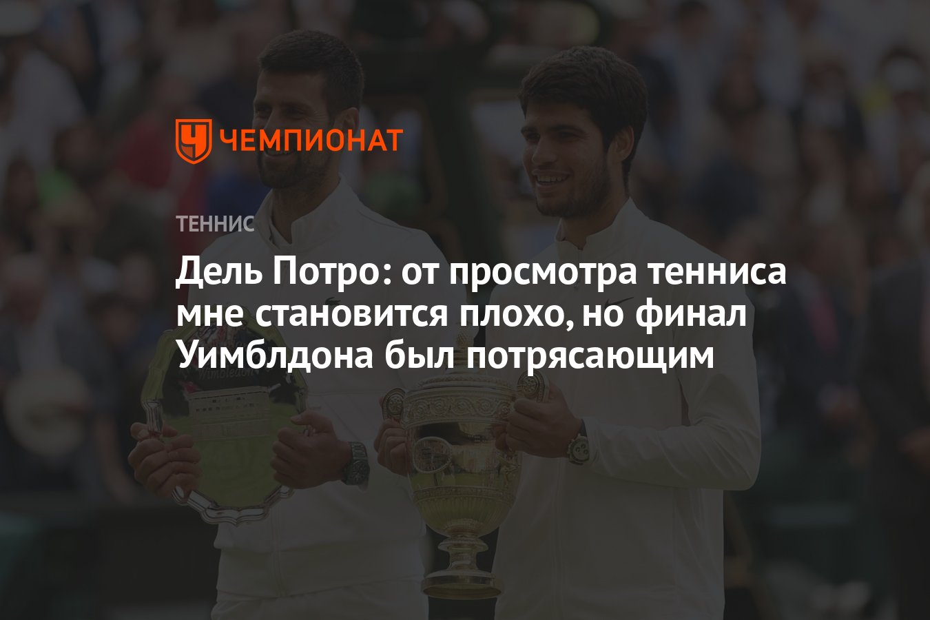 Дель Потро: от просмотра тенниса мне становится плохо, но финал Уимблдона  был потрясающим - Чемпионат