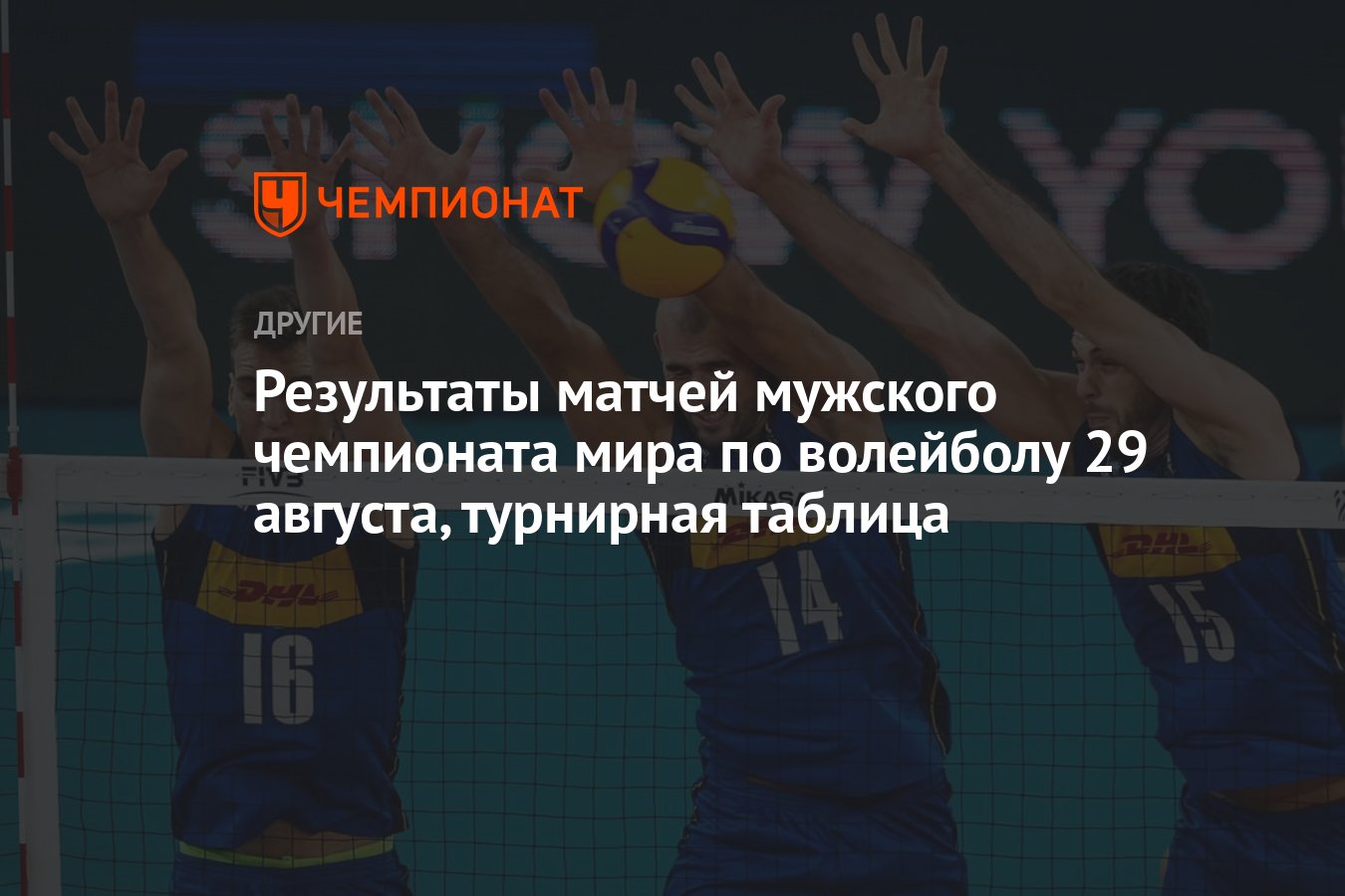 Волейбол чемпионат россии мужчины 2024 1 4