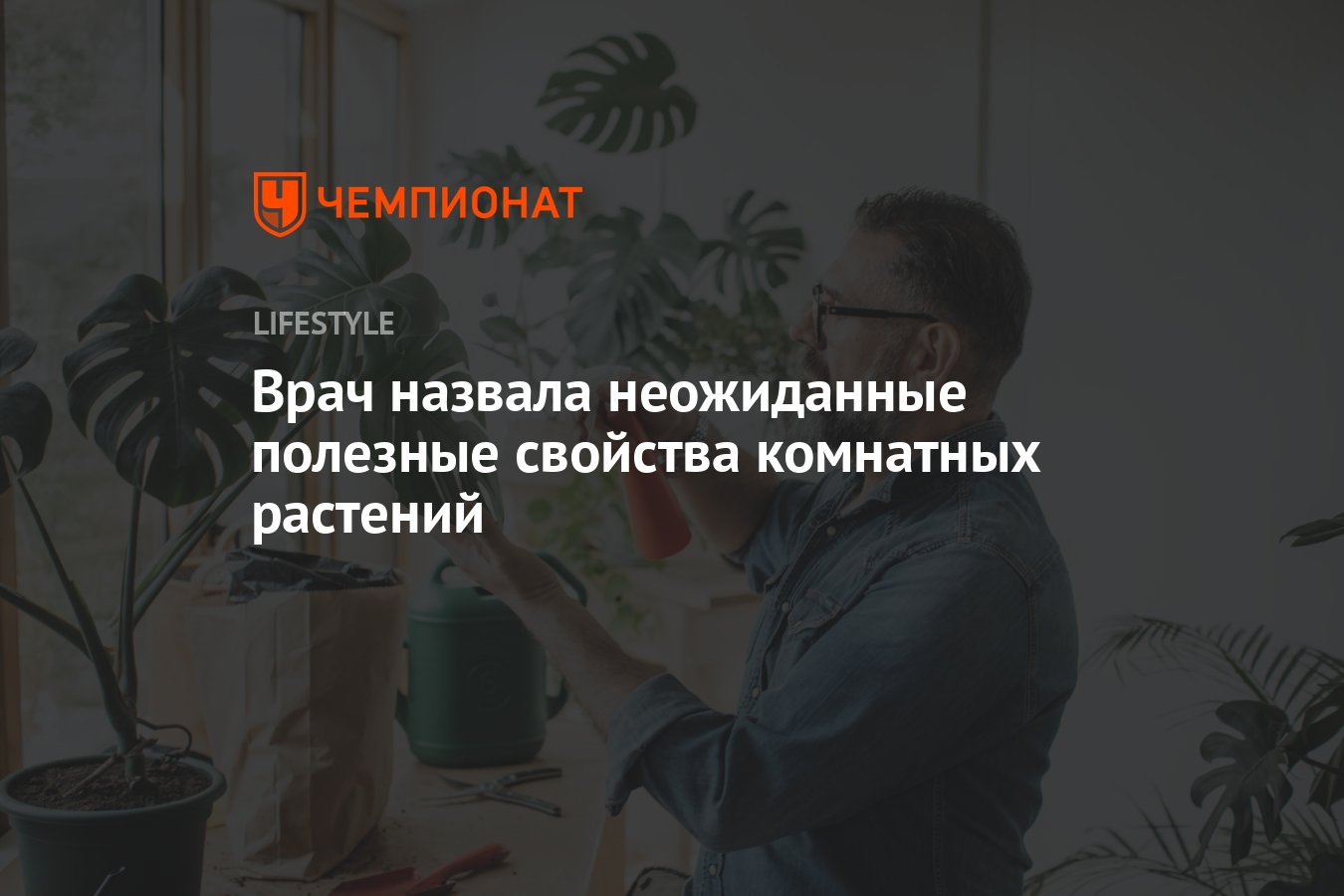 Полезные свойства комнатных растений: как они улучшают наше здоровье