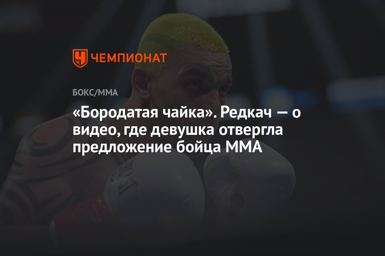 Бородатая чайка». Редкач — о видео, где девушка отвергла предложение бойца  ММА - Чемпионат