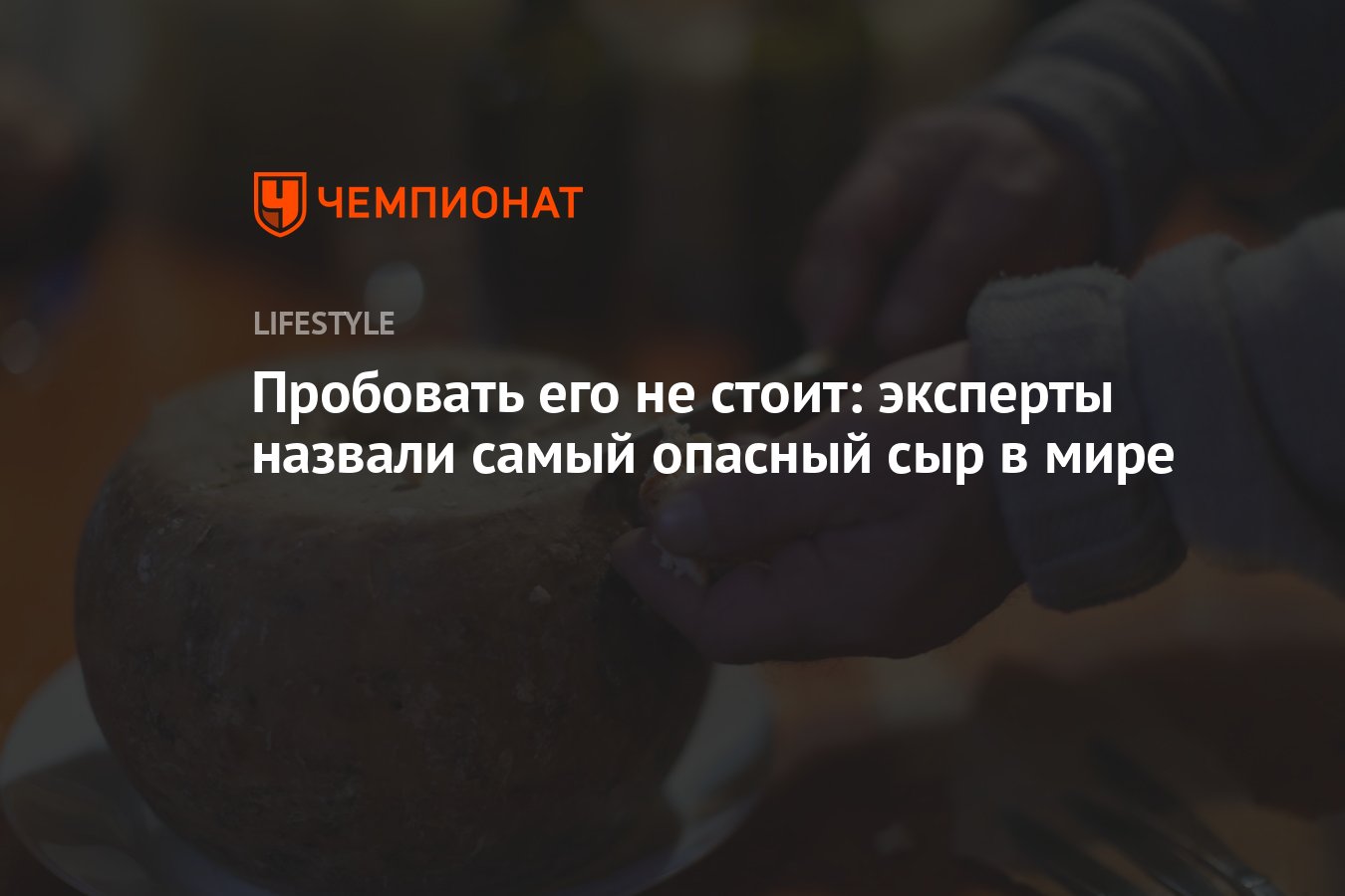 Пробовать его не стоит: эксперты назвали самый опасный сыр в мире -  Чемпионат