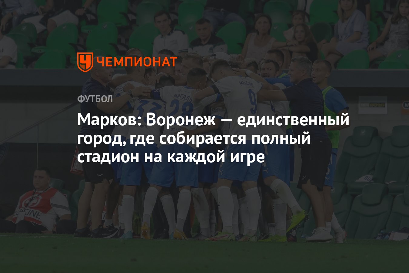 Марков: Воронеж — единственный город, где собирается полный стадион на  каждой игре - Чемпионат