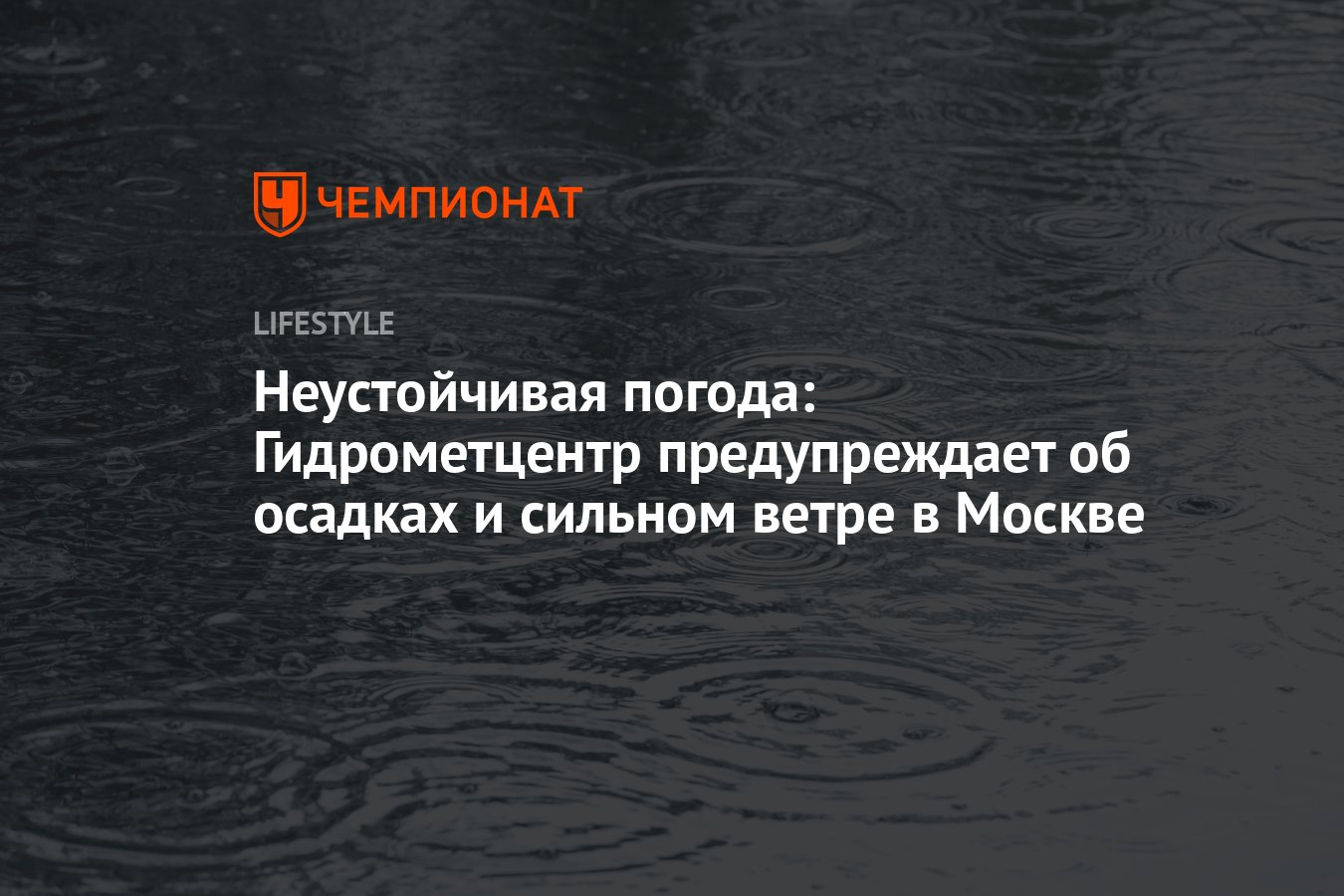 Неустойчивая погода: Гидрометцентр предупреждает об осадках и сильном ветре  в Москве - Чемпионат