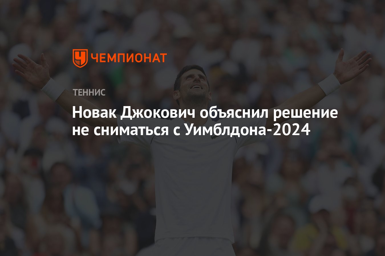 Новак Джокович объяснил решение не сниматься с Уимблдона-2024 - Чемпионат