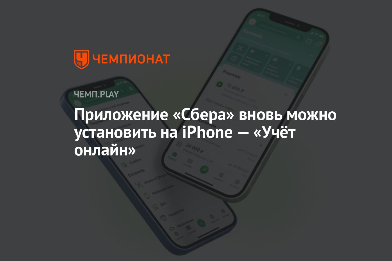 Скачать Сбербанк онлайн для айфона, установить приложение для iOS — Учёт  онлайн - Чемпионат