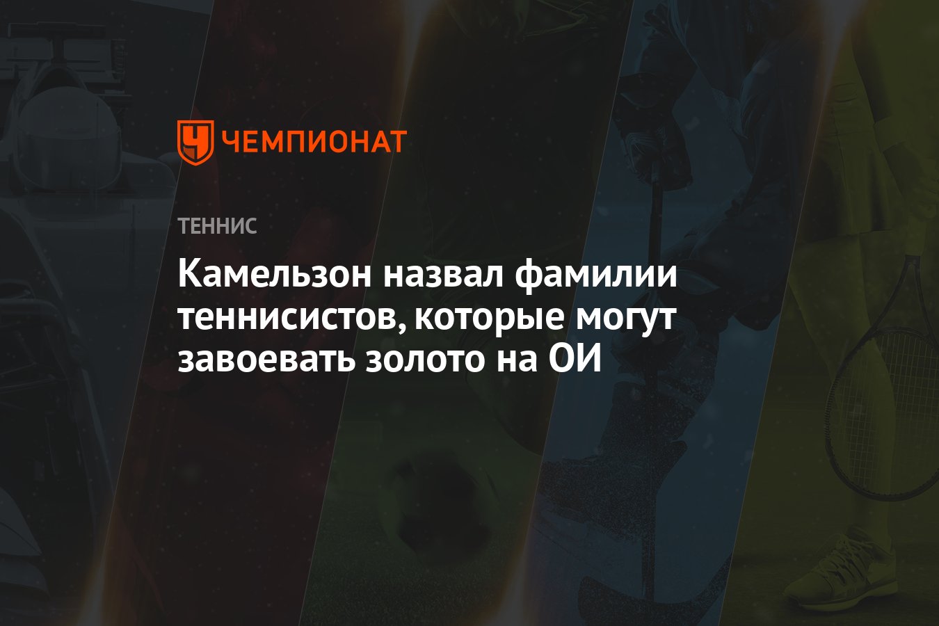 Камельзон назвал фамилии теннисистов, которые могут завоевать золото на ОИ