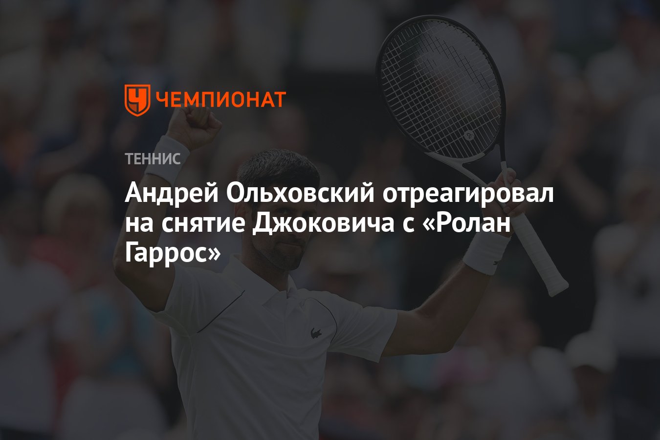 Андрей Ольховский отреагировал на снятие Джоковича с «Ролан Гаррос» -  Чемпионат