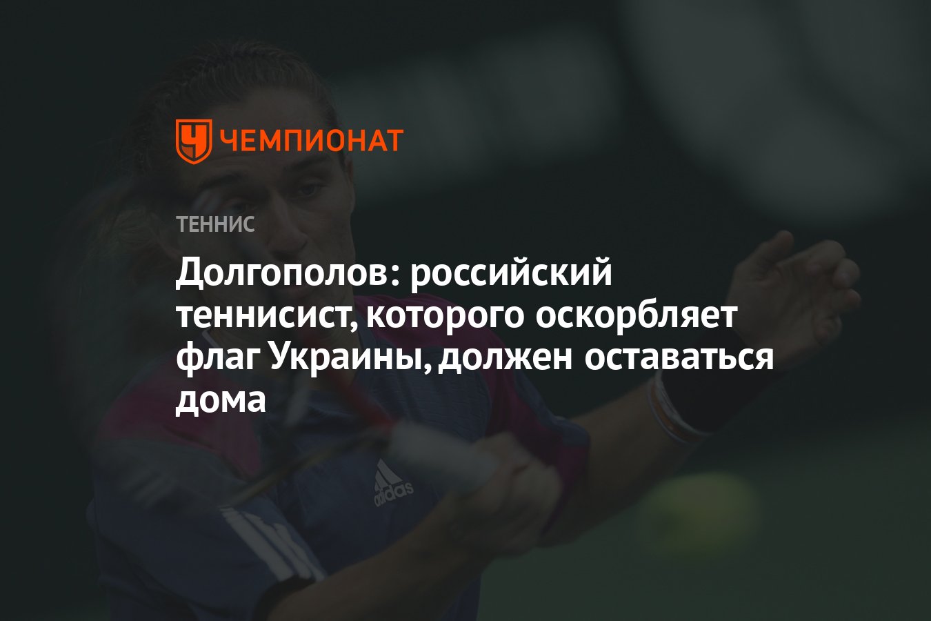 Долгополов: российский теннисист, которого оскорбляет флаг Украины, должен  оставаться дома - Чемпионат